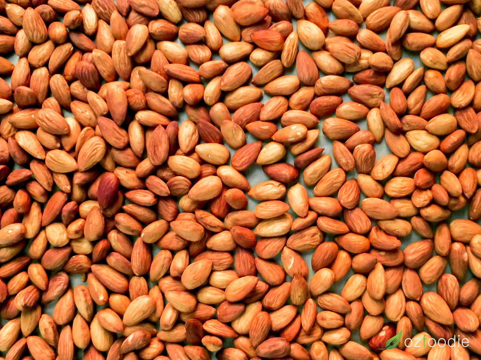 Close-up of freshly roasted almonds spread out on an oven tray.